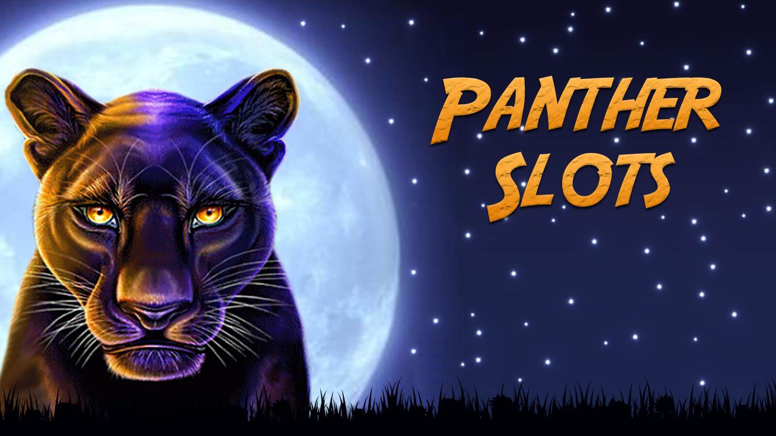 Panther Moon