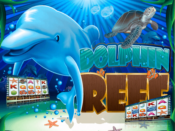 Dolphin Reef